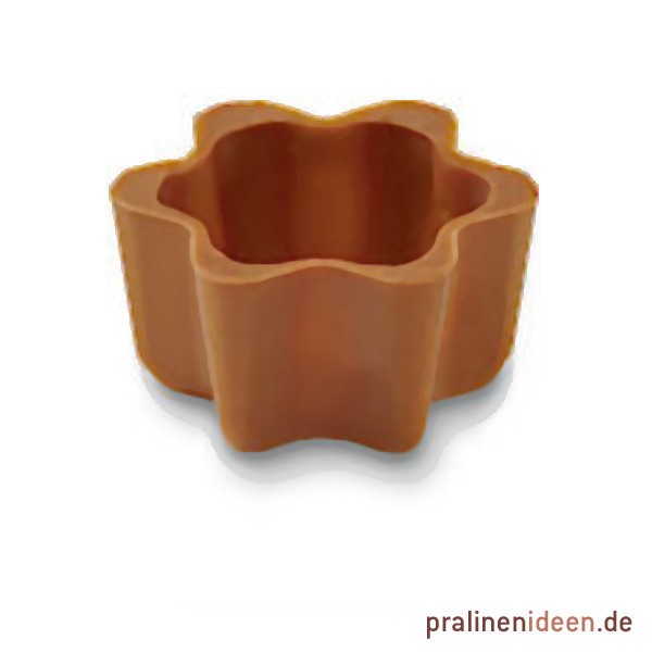 Sternschale offen Vollmilch, 1 Lage mit 56 Stück
