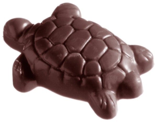 Pralinenform Schildkröte (CW1411)