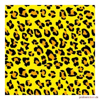 Kleine Transferfolie Leopard